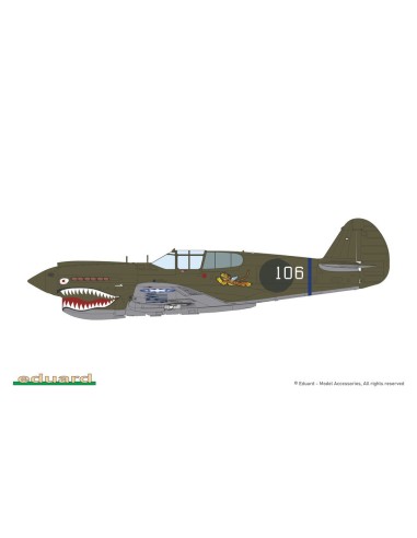 P-40E Warhawk 