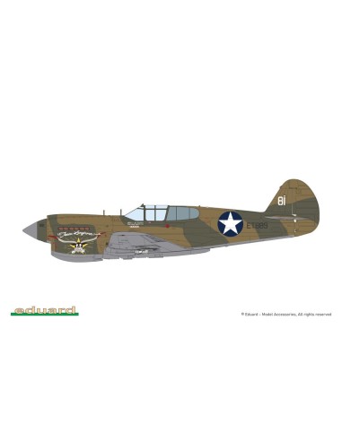 P-40E Warhawk 