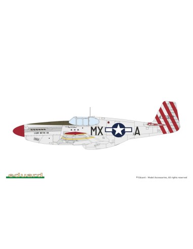 P-51B/C Mustang Birdcage canopy 