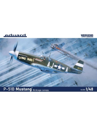 P-51B/C Mustang Birdcage canopy 