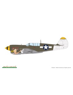 P-40N Warhawk 