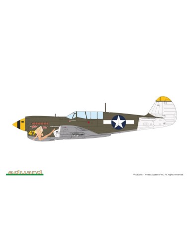 P-40N Warhawk 