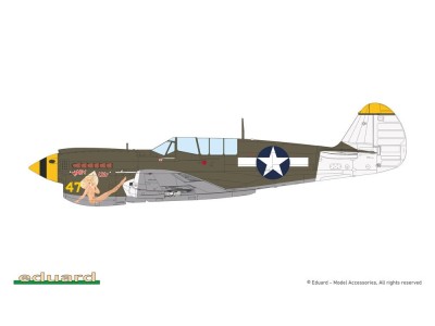 P-40N Warhawk 