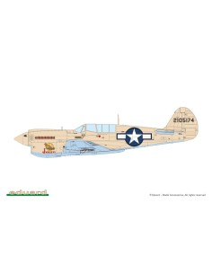 P-40N Warhawk  2