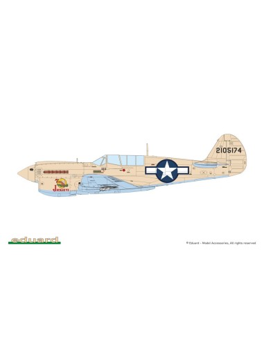 P-40N Warhawk 