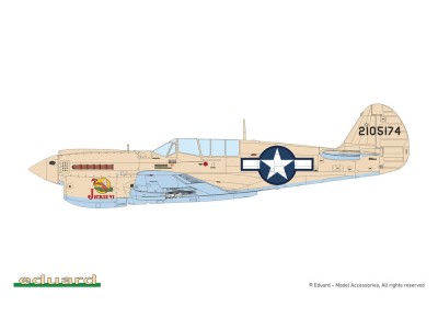 P-40N Warhawk 