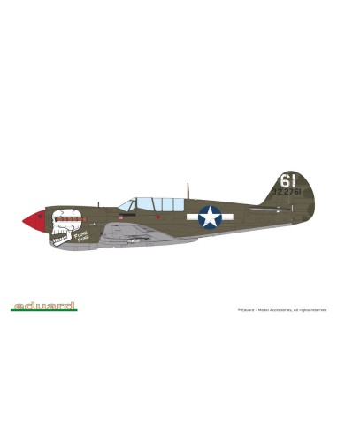 P-40N Warhawk 