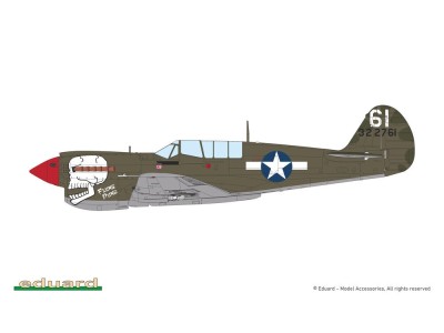 P-40N Warhawk 