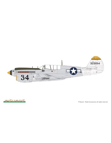 P-40N Warhawk 