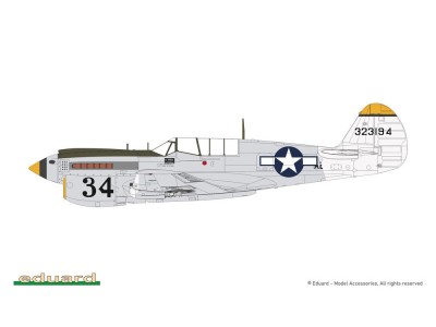 P-40N Warhawk 