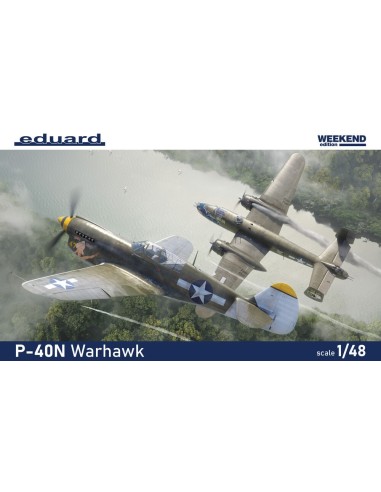 P-40N Warhawk 