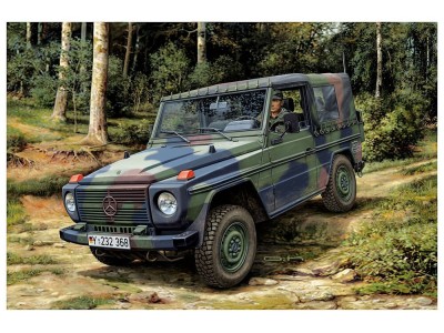 Lkw gl leicht "Wolf 
