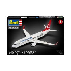 Boeing 737-800 Turkish Airlines  2
