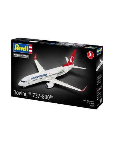 Boeing 737-800 Turkish Airlines 