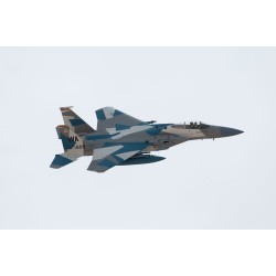 Boeing F-15C Eagle 