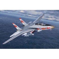Grumman F-14A Tomcat 
