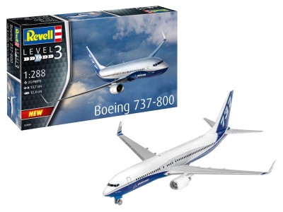Boeing 737-800 