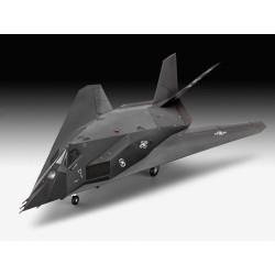 F-117A Nighthawk Stealth Fighter 