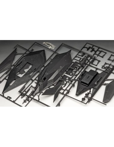 F-117A Nighthawk Stealth Fighter 