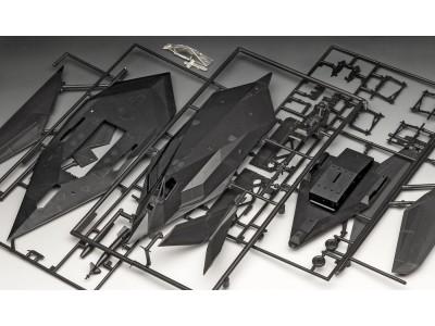 F-117A Nighthawk Stealth Fighter 