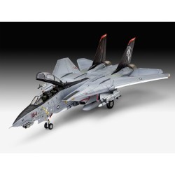 Grumman F-14D Super Tomcat 