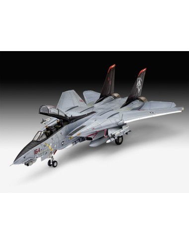 Grumman F-14D Super Tomcat 