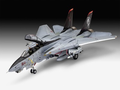 Grumman F-14D Super Tomcat 