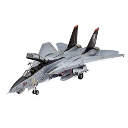 Grumman F-14D Super Tomcat  2