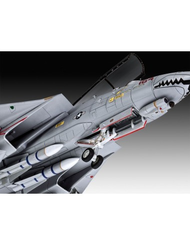 Grumman F-14D Super Tomcat 