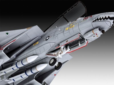 Grumman F-14D Super Tomcat 