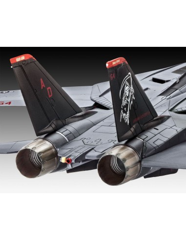 Grumman F-14D Super Tomcat 