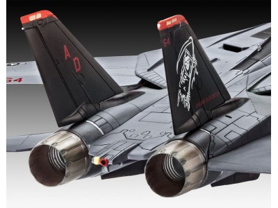 Grumman F-14D Super Tomcat 