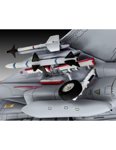 Grumman F-14D Super Tomcat 