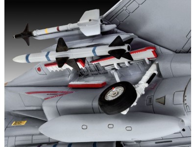 Grumman F-14D Super Tomcat 