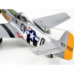 P-51D Mustang  2