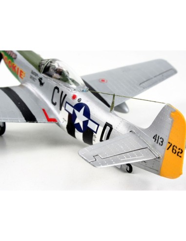 P-51D Mustang 