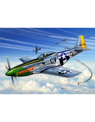 P-51D Mustang 