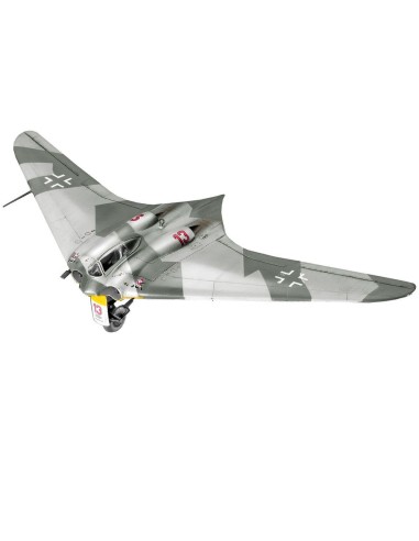 Horten Go 229 