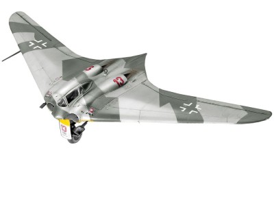 Horten Go 229 
