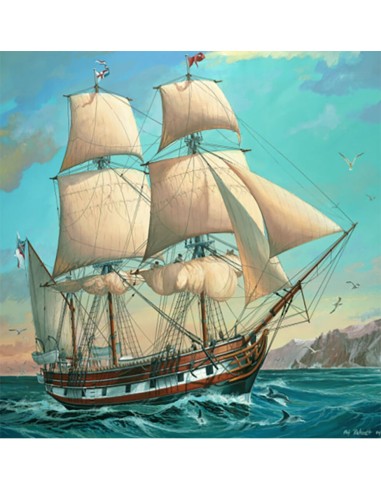 HMS Beagle 