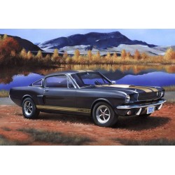 Shelby Mustang GT 350 H 
