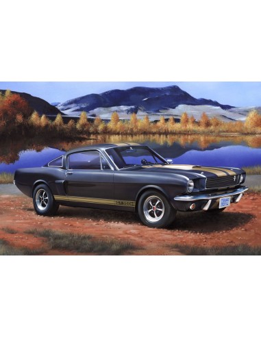 Shelby Mustang GT 350 H 