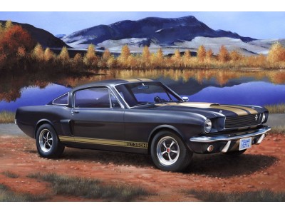 Shelby Mustang GT 350 H 