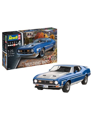 71 Mustang Boss 351 