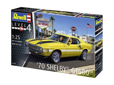 '70 Shelby Mustang GT500 
