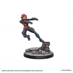 Hawkeye and Black Widow 2