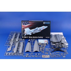 X-15A-2 ‘White Ablative Coating’ 