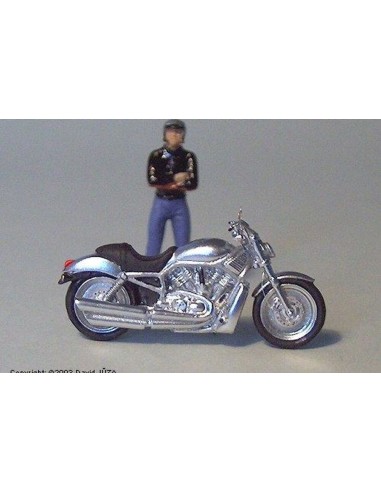 American Cruiser 2000 