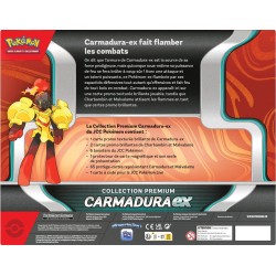 COLLECTION PREMIUM CARMADURA EX 2
