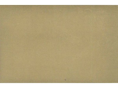 engraved plate-GERMAN EARLY type 